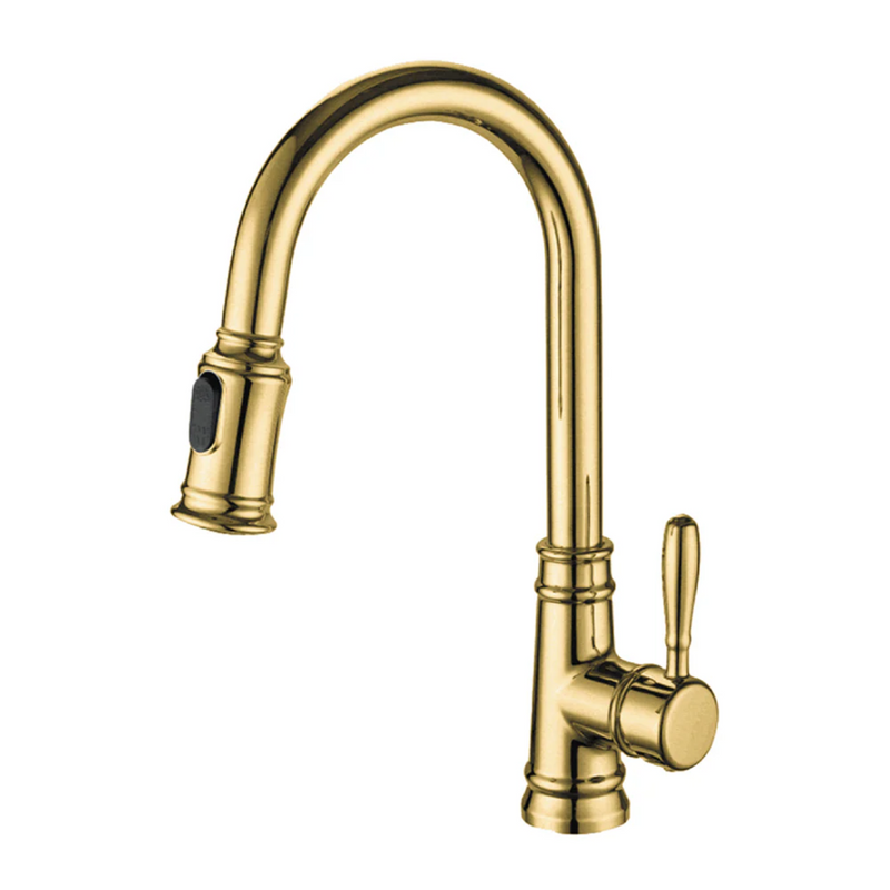 Agua Canada MONACO Pull Out Kitchen Faucet & Dual Spray
