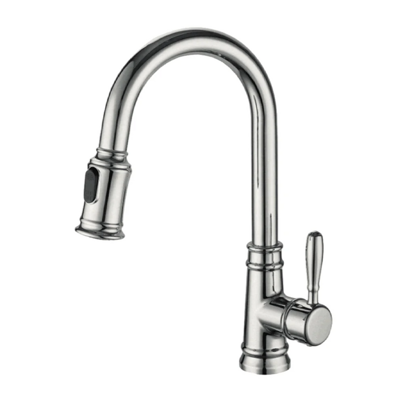 Agua Canada MONACO Pull Out Kitchen Faucet & Dual Spray