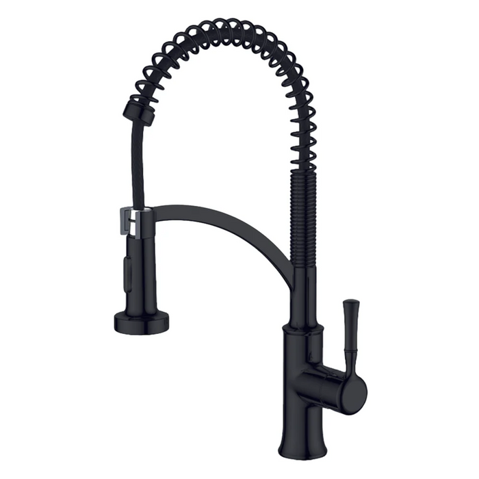 Agua Canada MAGICO Industrial Style Single Handle Matte Black Kitchen Faucet