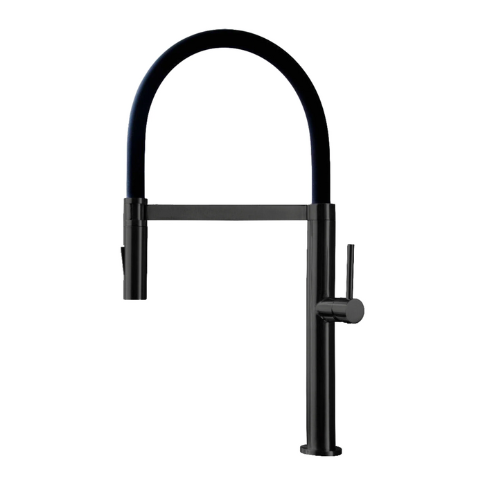 Agua Canada MIAGGI Chief Style Kitchen Faucet