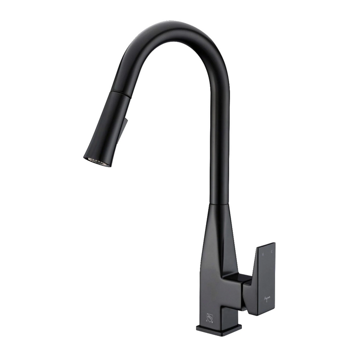 Agua Canada MICA-BK Matte Black Pull Out Kitchen Faucet Dual Spray