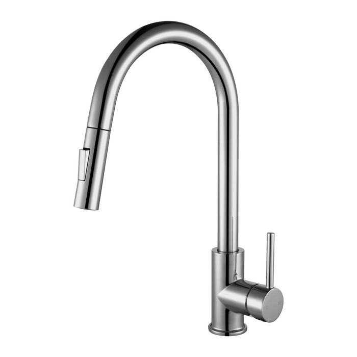 Agua Canada MONROE Pull Out Kitchen Faucet Dual Spray