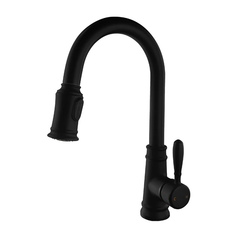 Agua Canada MONACO Pull Out Kitchen Faucet & Dual Spray