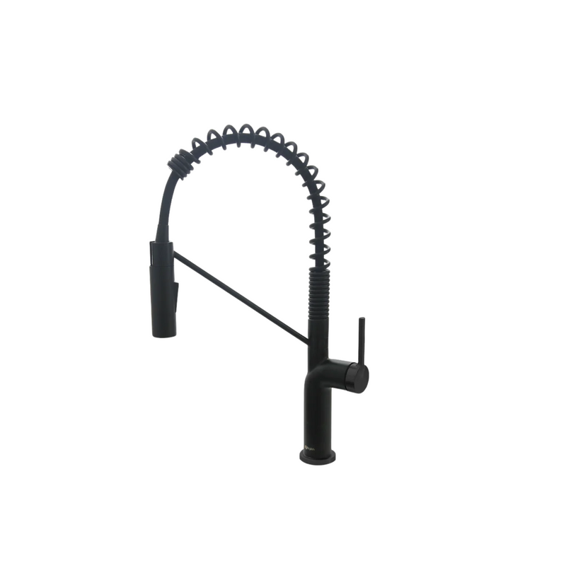 Stylish TIVOLI Single Handle Pull Down Kitchen Faucet