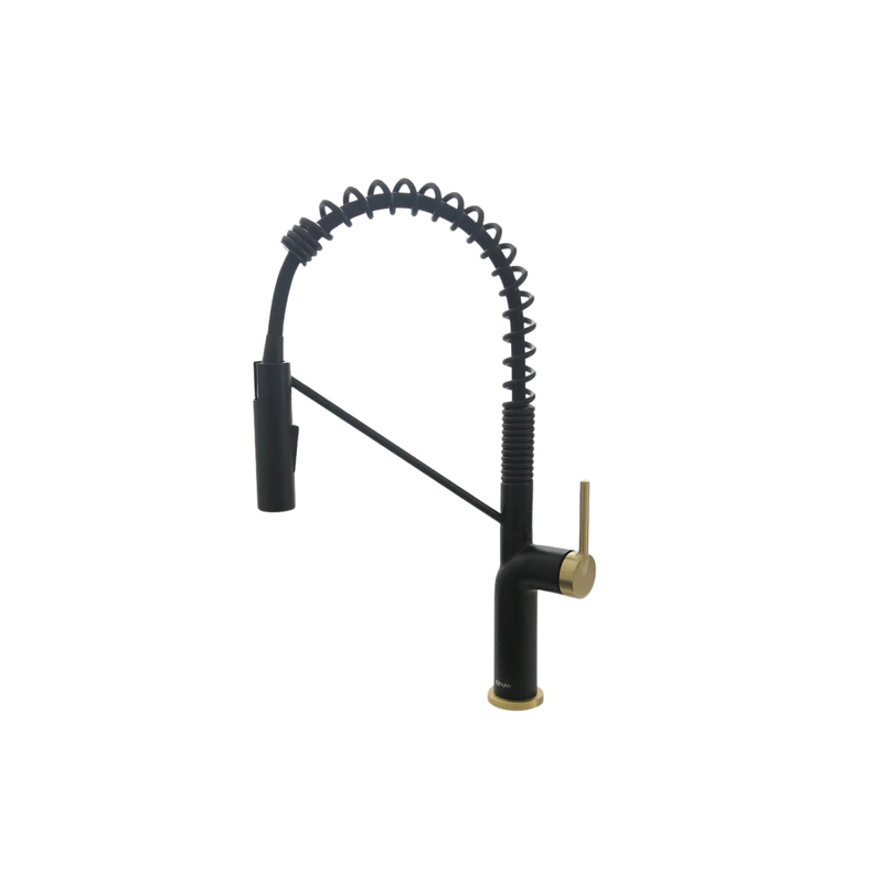 Stylish TIVOLI Single Handle Pull Down Kitchen Faucet