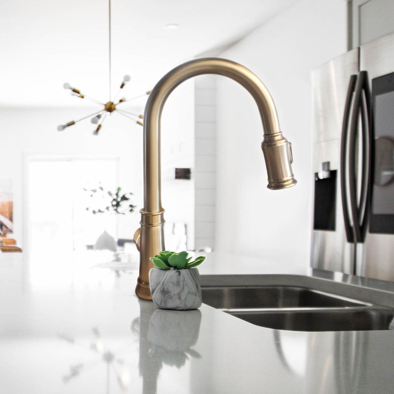 Agua Canada MONACO Pull Out Kitchen Faucet & Dual Spray