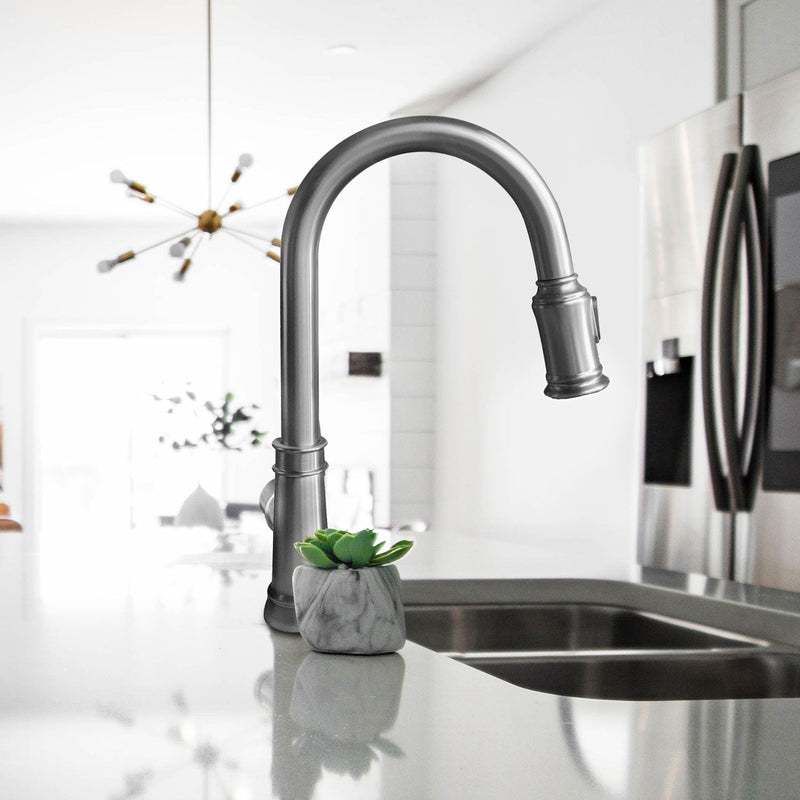 Agua Canada MONACO Pull Out Kitchen Faucet & Dual Spray