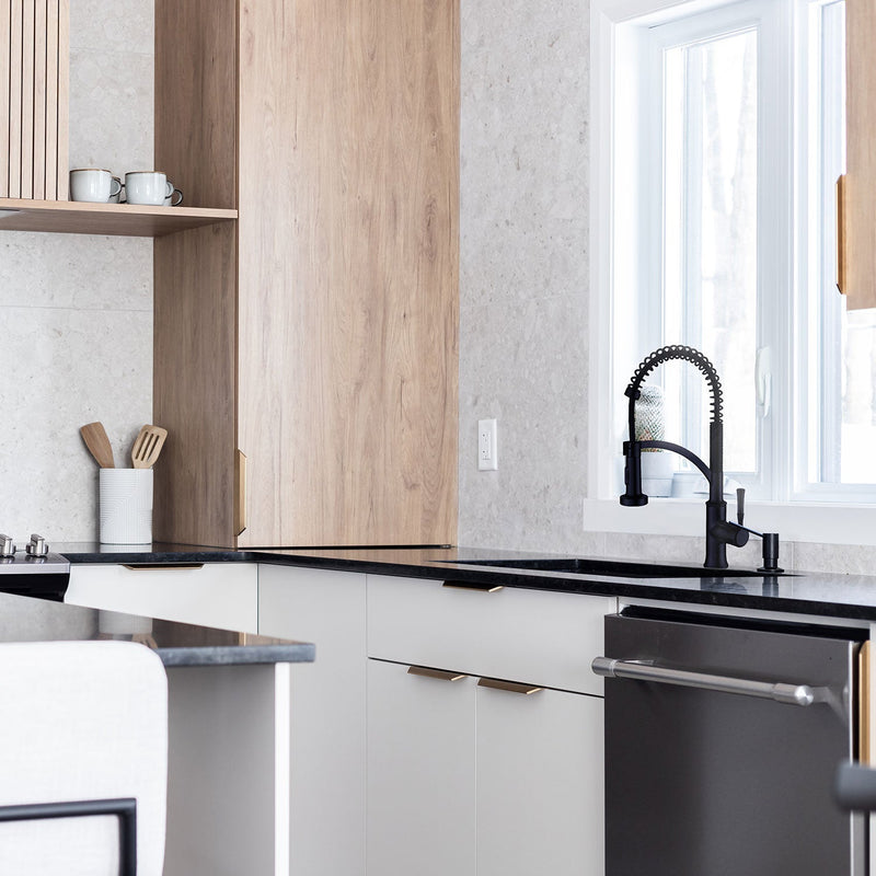 Agua Canada MAGICO Industrial Style Single Handle Matte Black Kitchen Faucet