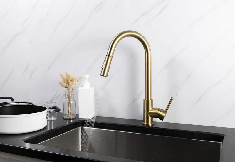 Agua Canada MONROE Pull Out Kitchen Faucet Dual Spray