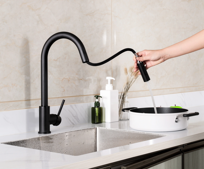 Agua Canada MONROE Pull Out Kitchen Faucet Dual Spray