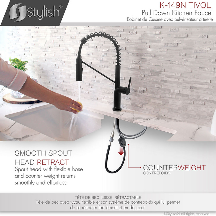 Stylish TIVOLI Single Handle Pull Down Kitchen Faucet