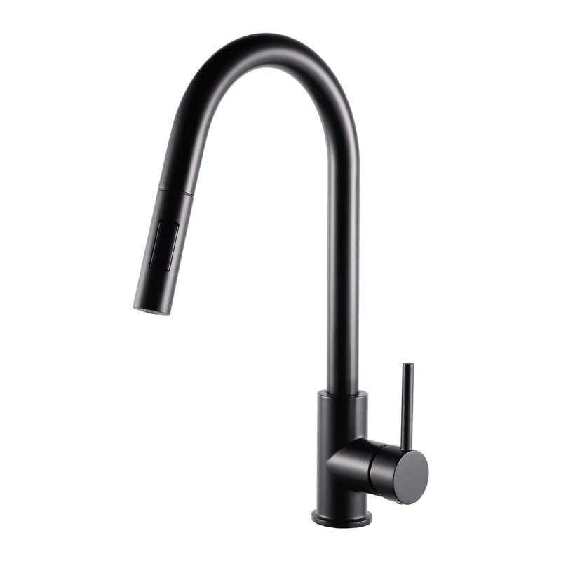 Agua Canada MONROE Pull Out Kitchen Faucet Dual Spray