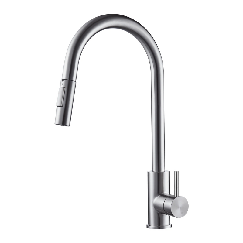 Agua Canada MONROE Pull Out Kitchen Faucet Dual Spray