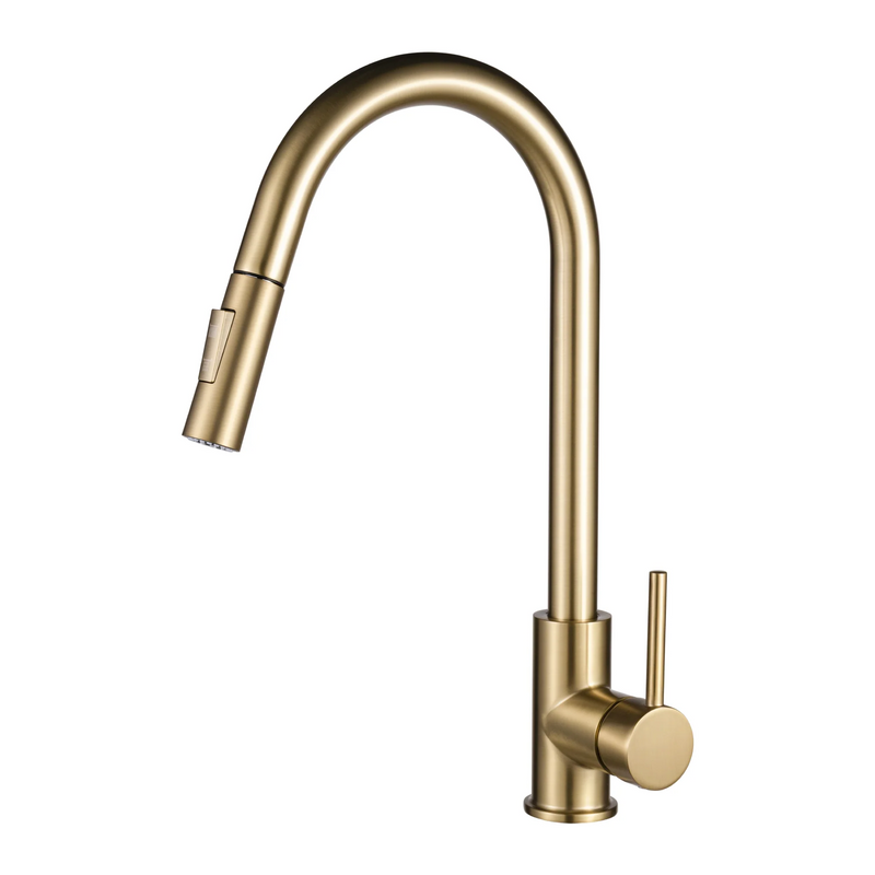 Agua Canada MONROE Pull Out Kitchen Faucet Dual Spray