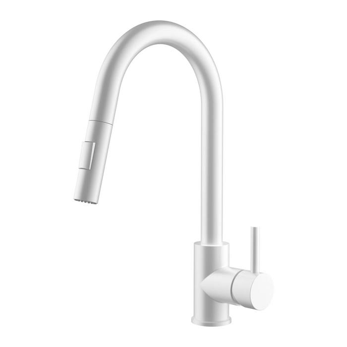 Agua Canada MONROE Pull Out Kitchen Faucet Dual Spray