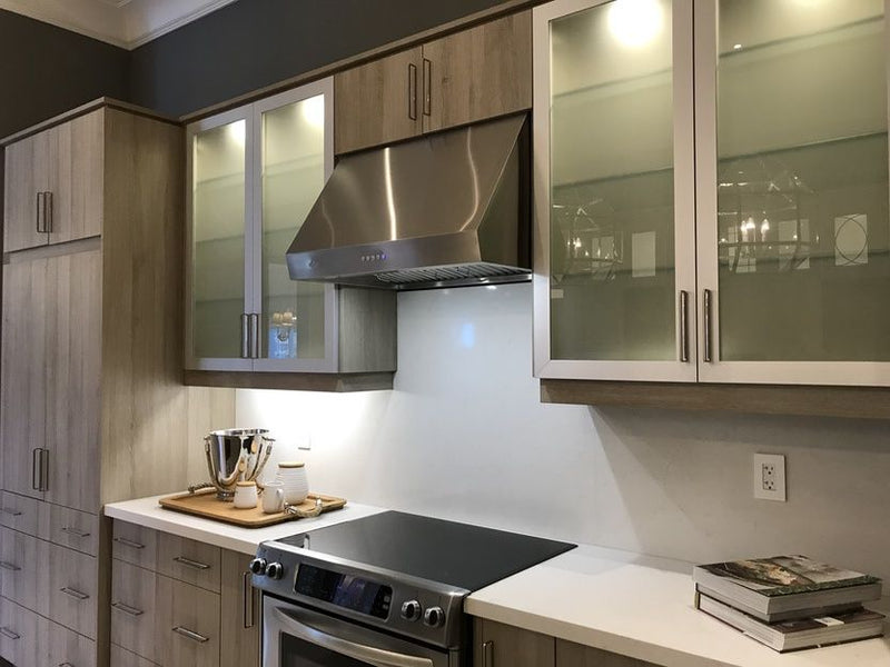 Cyclone 24" PRO Collection 300 CFM Undermount Range Hood in Stainless Steel - PTB83
