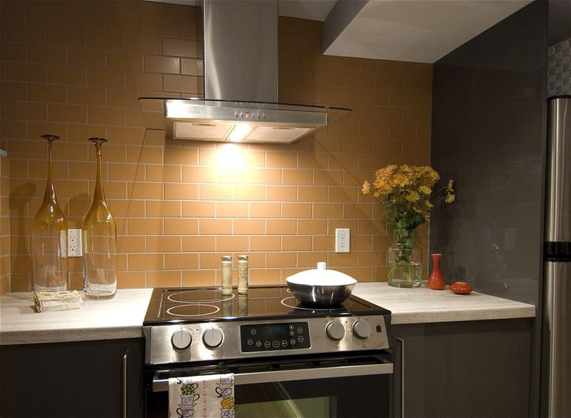 Cyclone 30" SCB502 Alito Collection 550 CFM Wall Mount Range Hood