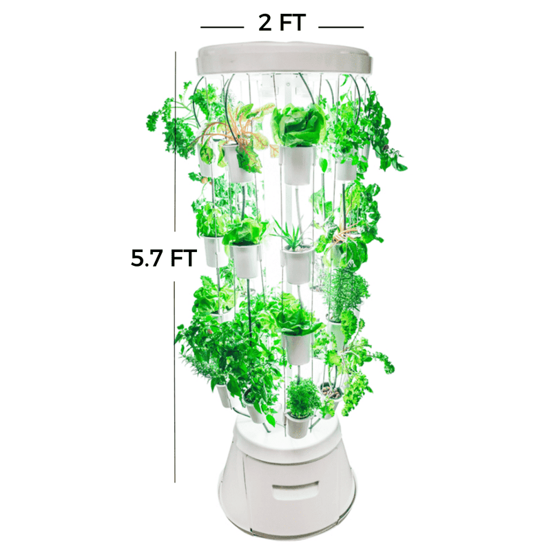 Nutritower Vertical Hydroponic Indoor Garden - Nutritower - Rise
