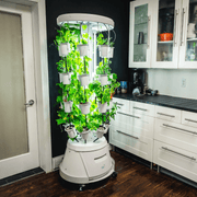Nutritower Vertical Hydroponic Indoor Garden - Nutritower - Rise