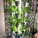 Nutritower Vertical Hydroponic Indoor Garden - Nutritower - Rise
