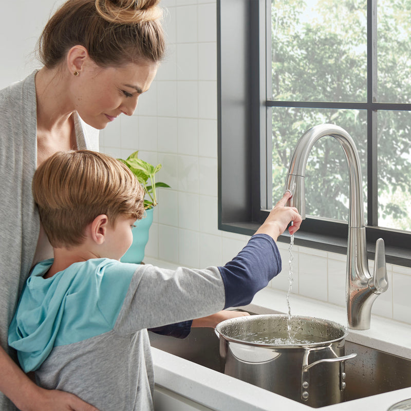American Standard Saybrook Single-Handle Pull-Down Dual Spray Kitchen Faucet 1.5 gpm/5.7 L/min With Filter