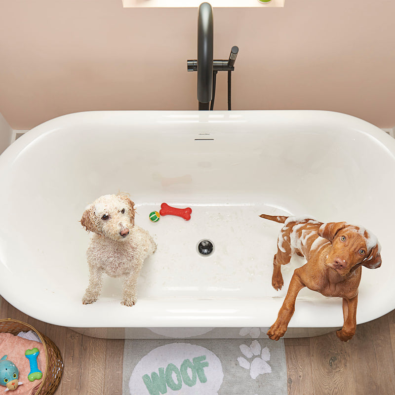American Standard Serin Contemporary Round Freestanding Tub Filler for Flash Rough-in Valve